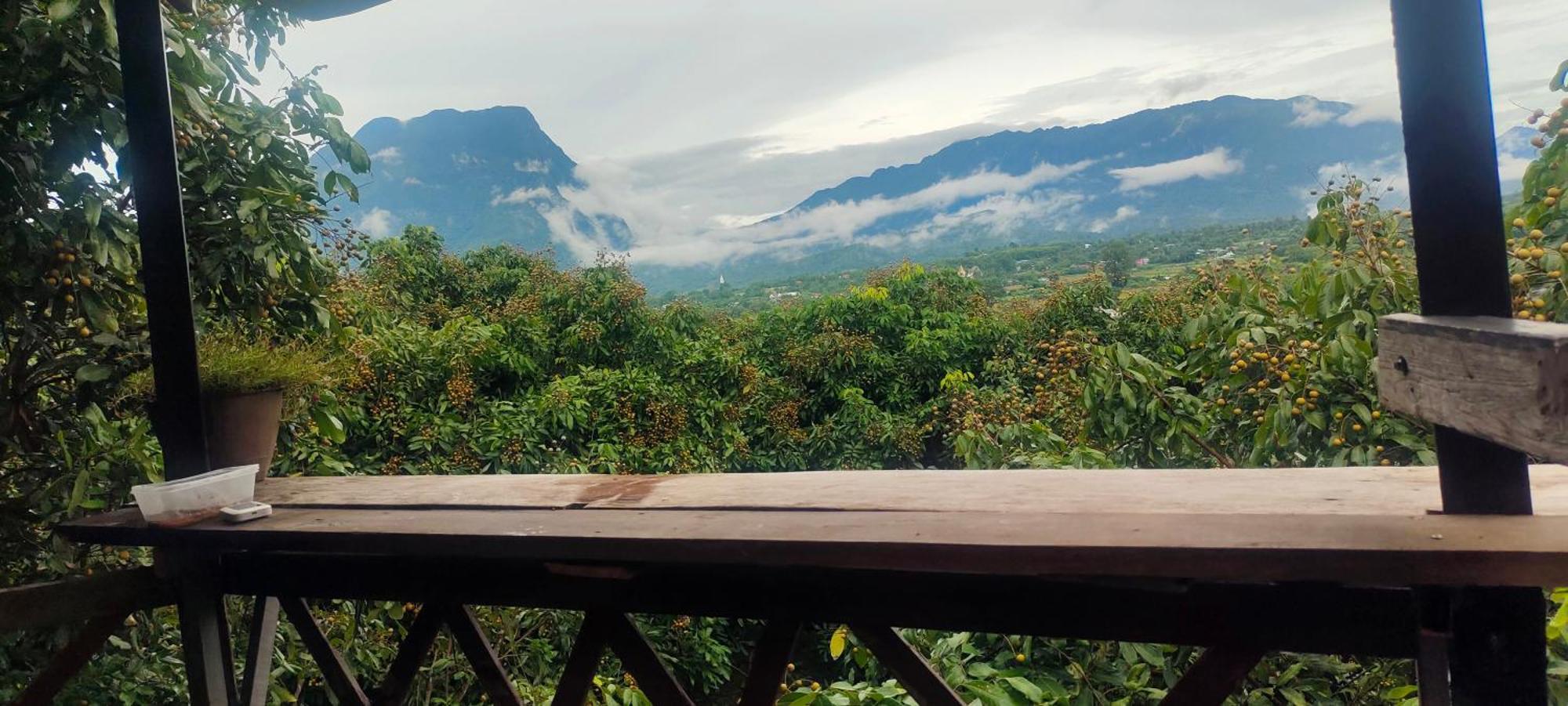 Baan 2 Dao Farmstay Chiang Dao Eksteriør bilde