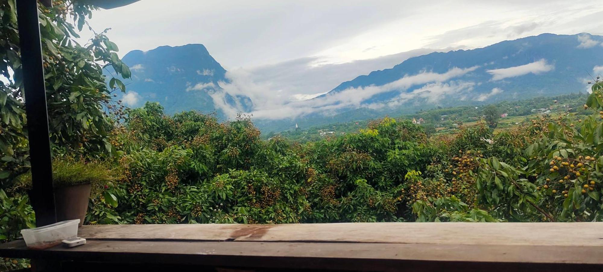 Baan 2 Dao Farmstay Chiang Dao Eksteriør bilde