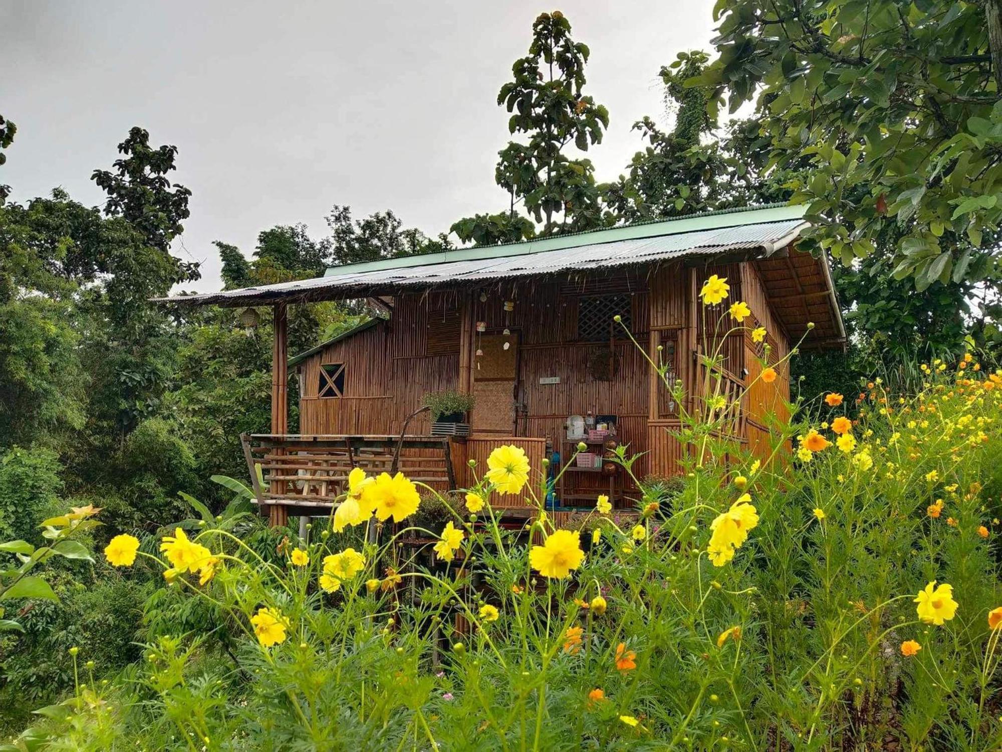 Baan 2 Dao Farmstay Chiang Dao Eksteriør bilde