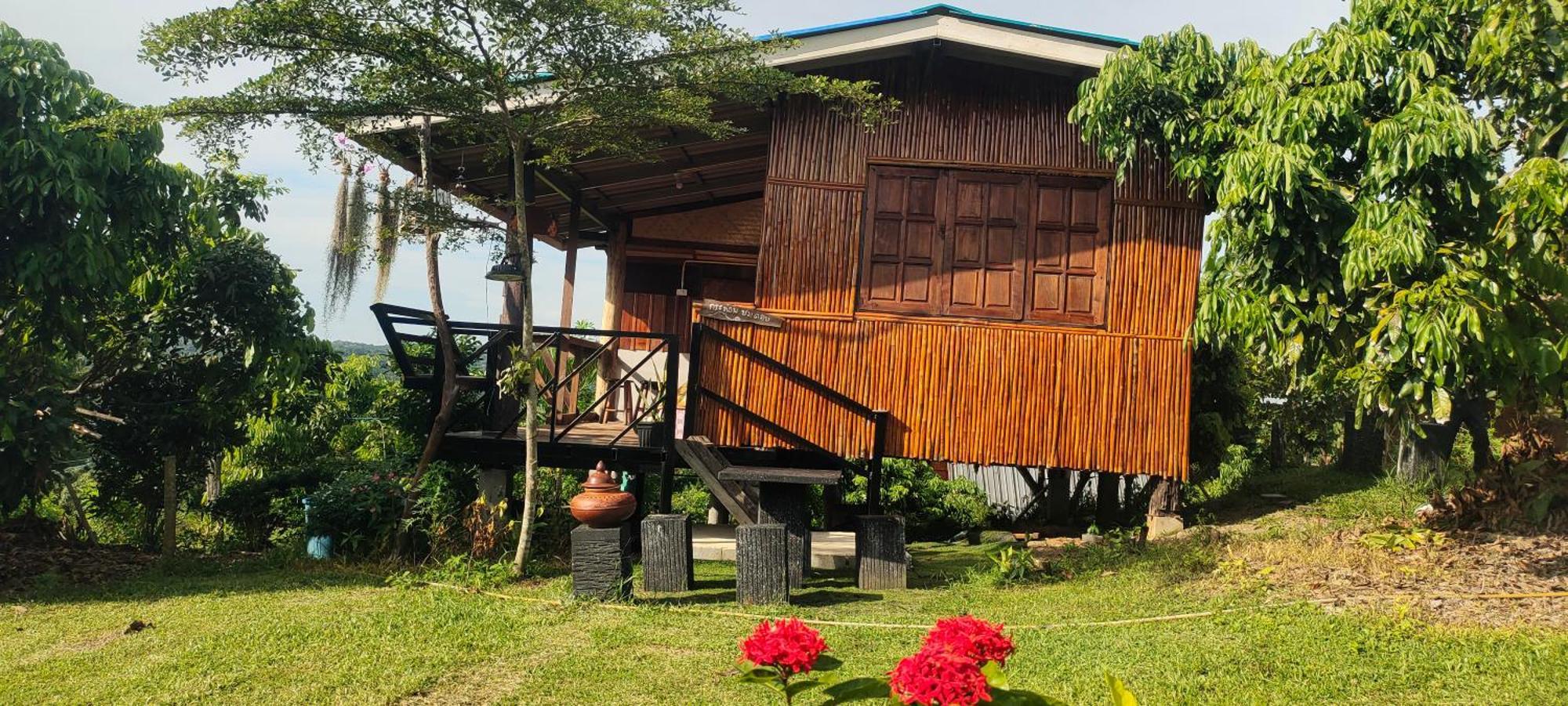 Baan 2 Dao Farmstay Chiang Dao Eksteriør bilde